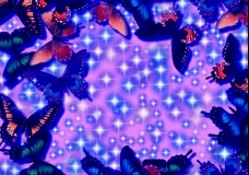 Burst of Butterflies