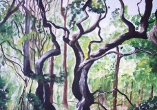 Forest in the Dunes