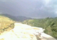 Nature Environment