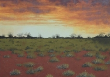 Spinifex Sunrise