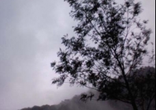 Effect of climate change
