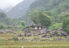 Effect of climate change 2