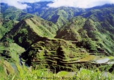 BANAUE RICE TERRACES