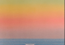 Spectrum