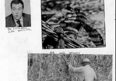 OCIC Postcard Project-MDGs