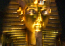 King TUT
