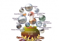 Climate Change
