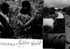 OCIC Postcard Project- MDGs