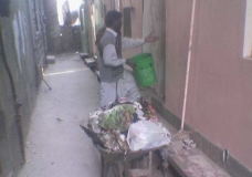 We can Safe our Environment.