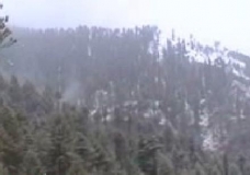 Snow Falling