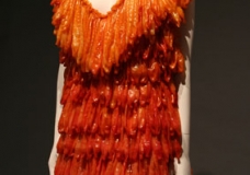 Neela