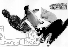Take care of the animals