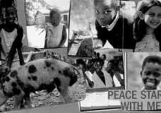 Peace start with me