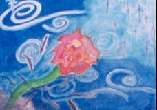 Rose Among The Thorns