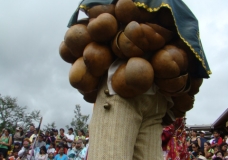 Yumbos - Comunidad Ancestral de Bosque Subtropical