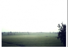 The Delta Plains
