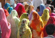 Colors of India