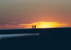 Back to the Land of Dreams