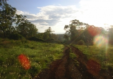 Road less travelled