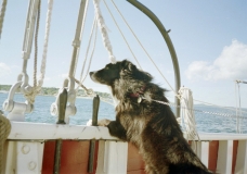 Jake's 1st sail