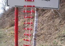 Martenica