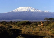 Mount Kilimanjaro-climate Change