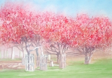 Blossom in Richmond Park