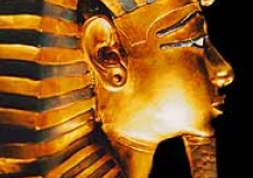 TuT side view