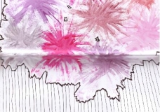Burst Of Life