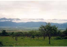Caucasus