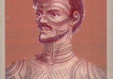 POLY MAN