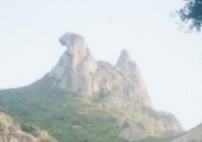 Galinha Choca