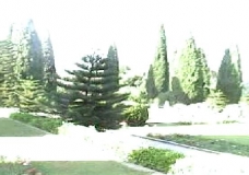 green environment