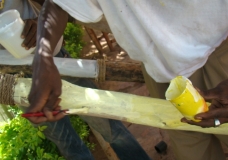 peinture