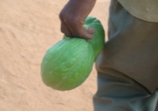 ponpopocolon