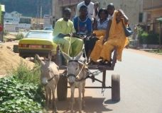 transport