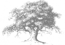 Cool shadow of Information & Communication Technology