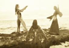 DANCING NYMPHETTES