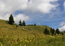 Velika Planina