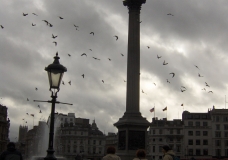 Trafalgar Square