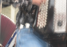 Musique libre