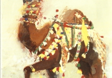 Camel