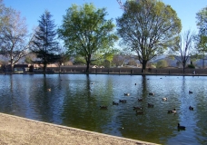 Simi Valley Lake