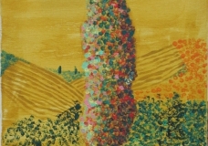 cypresse