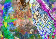 Macedonia Angel