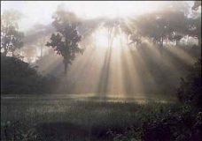 Rising sun