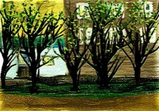 Spring