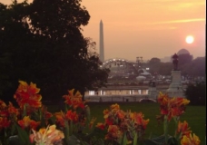 Flowers & Monument 2
