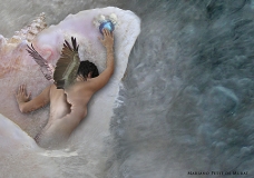 The Pearl of the Virgin