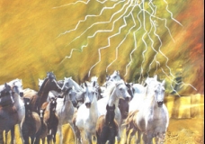 VU 17 Gallopping Horse Herd 1